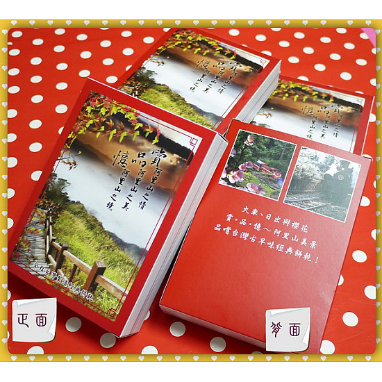 阿里山美景裝了飛機餅乾100g全台灣製-最紅文創商品