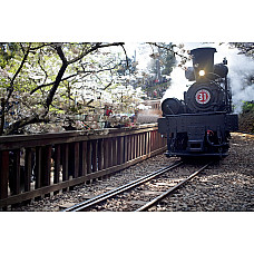 古董複製的阿里山森林火車1:60比例收藏用模型超合金材質